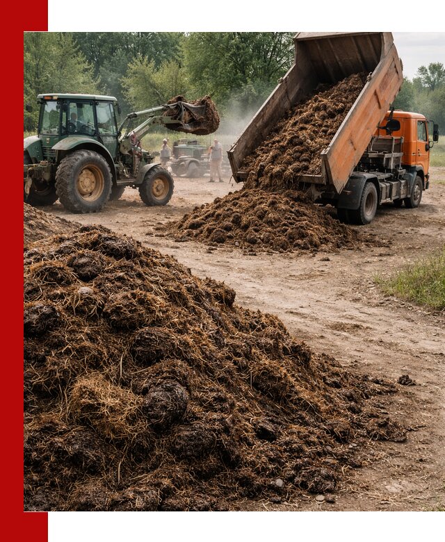 Доставка навоза самосвалами в Сарове для сельхозпотребностей